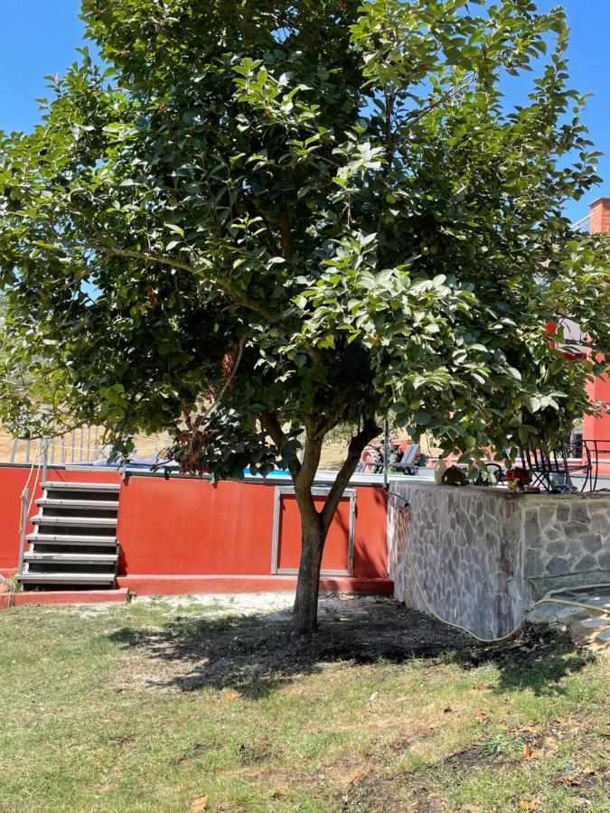 Luxury Villa Arianna Tarano Exterior photo